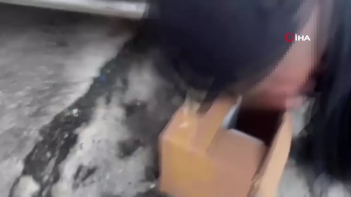 İstanbul’da Sahte Alkol Faciası: 11 Ölü
